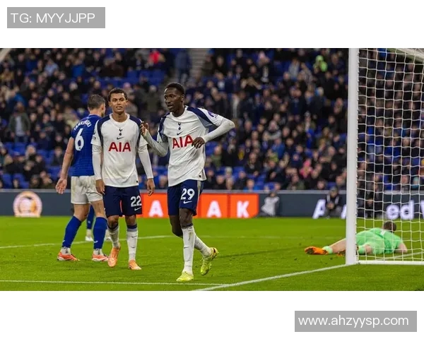 热刺与埃弗顿精彩对决全场回放回顾分析与精彩瞬间集锦